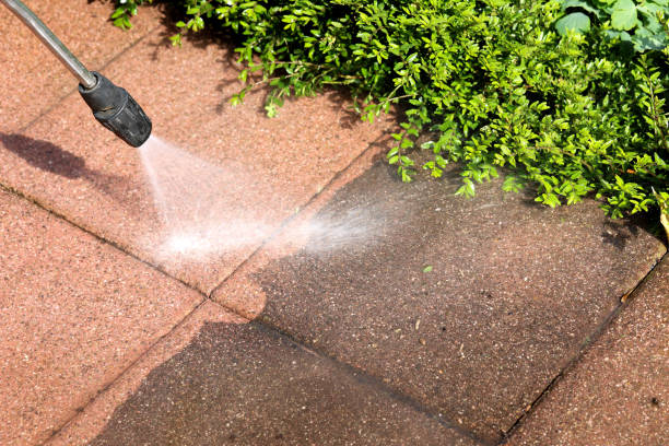 Local Pressure Washing Services in Martha Lake, WA